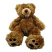 Penya Grizzlybär in freier Wildbahn