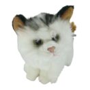 Frech dreinblickende Katze