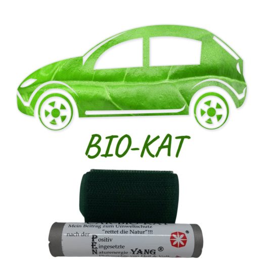Bio-Kat für Autos