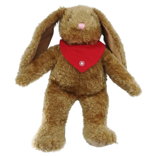 Schlappohr-findet-dich-gut Schlappohr beim Rennen Zickzack