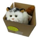 Katze im Karton