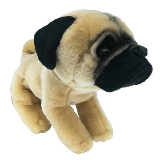 Penya-Mops-klein-und-knackig Mops mich nicht an