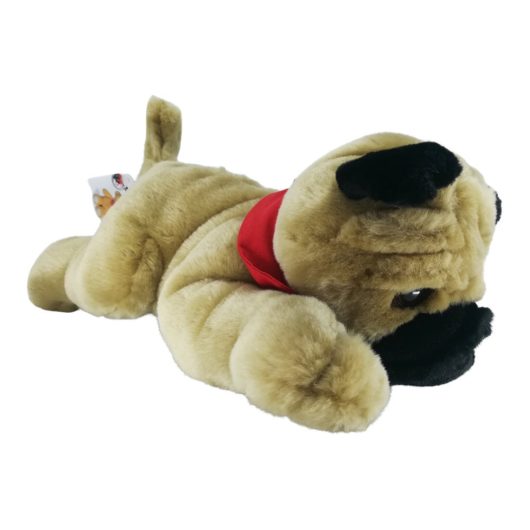 Penya-Mopsaugen Penya Mops groß