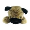 Mops liegt da von vorne