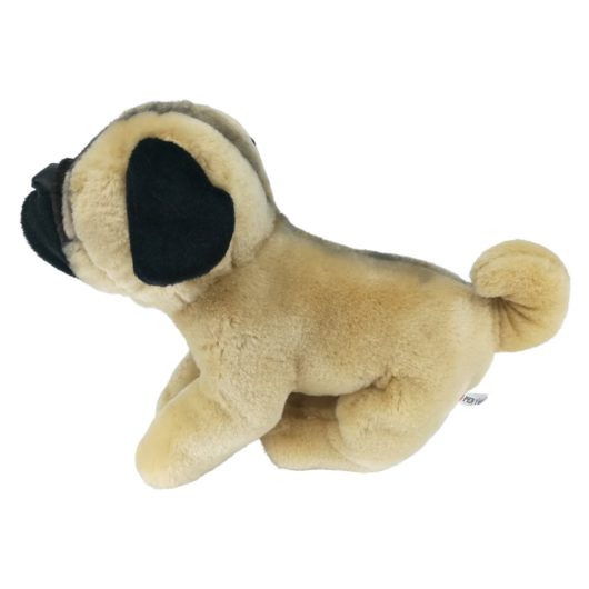 Penya-seitlicher-Mops-klein Mops macht Sitz