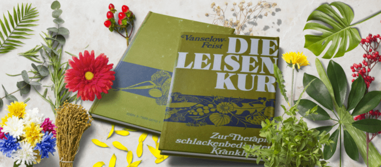 Buch "Die leisen Kur" für Harmonisierungsprodukte gegen elektromagnetische Belastungen.