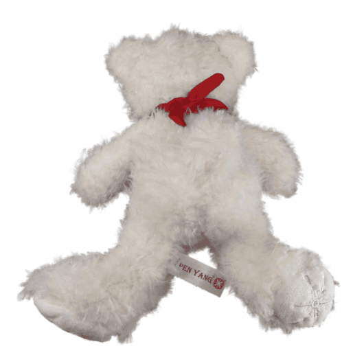 PENYA-Eisbaer-4 Eisbär mit Schneeflocke am Fuß