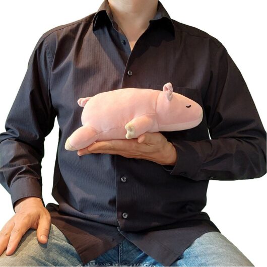 groesse-chill-sau Größe PENYA Chill Sau