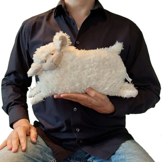 groesse-lamm Größe PENYA Schaf