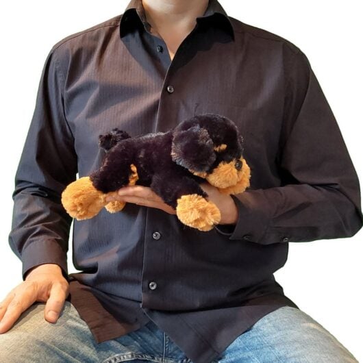 groesse-nero Größe PENYA Rottweiler Nero