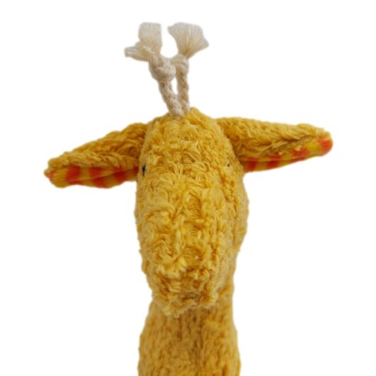 Giraffe-2 Giraffe im Kuschelzoo