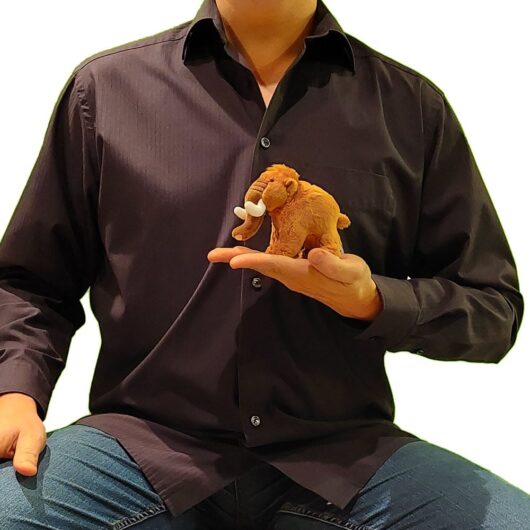 groesse-mammut-echt Größe Penya Mammut