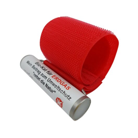 Bio-Kat-Erdgas-Einfamilienhaus Erdgas Energieeffizienz erhöhen