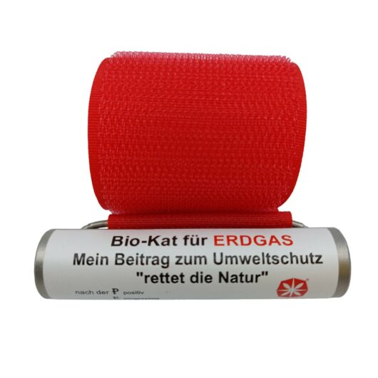 Bio-Kat-Erdgas-Einfamilienhaus-Heizoelpreis Abgasreduktion Erdgasheizung