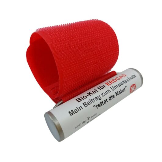 Bio-Kat-Erdgas-Einfamilienhaus-geringere-Heizkosten Rettet die Natur