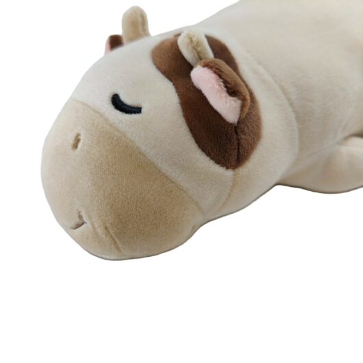 chill-kuh-6 Kuh Methan CO2