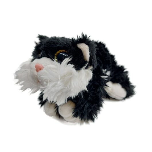 freddy-5 Friedlicher Kater