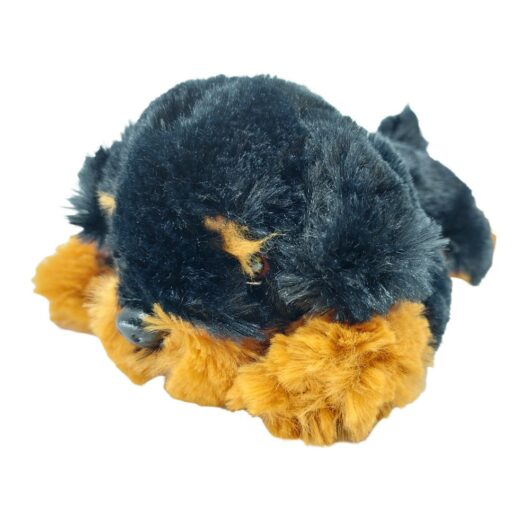 nero-2 Braver Rottweiler wohlerzogen