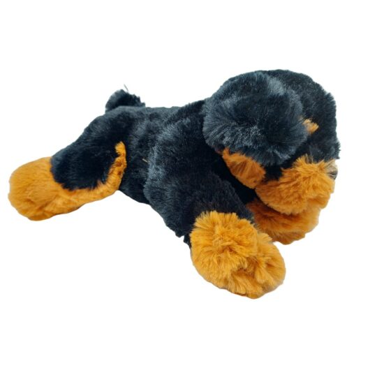 nero-3 Schöner Hund zum Kuscheln