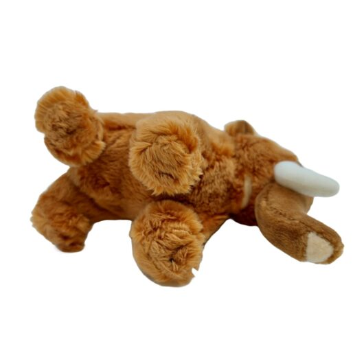 penya-mammut-4 penya-mammut-4