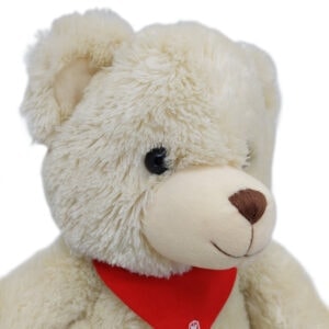 Weißer Teddybär Großaufnahme Gesicht, rotes Halstuch