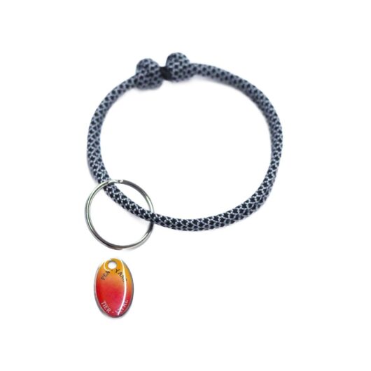 paracord-set-klein2 Tierhalsband mit Anhänger