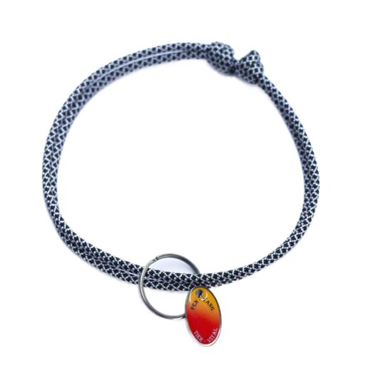 paracord-set-mittel2 Tierhalsband mit Anhänger